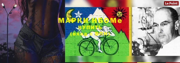 стаф Бугульма