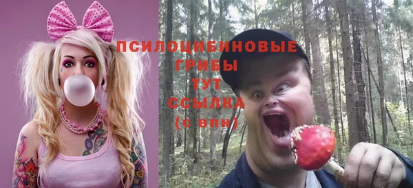 стаф Бугульма