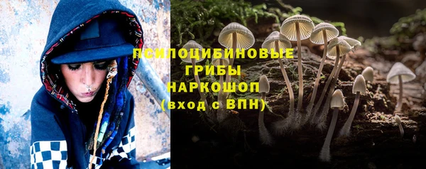 метадон Бородино