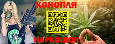 прущие грибы Апрелевка