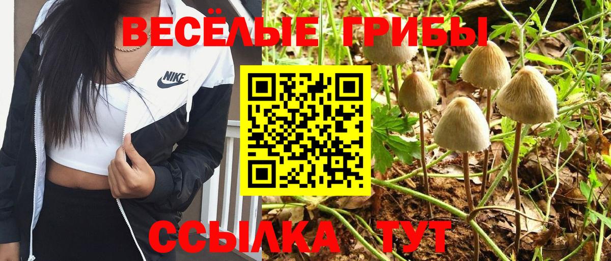 купить  цена  Бугульма  Галлюциногенные грибы прущие грибы  Псилоцибиновые грибы Psilocybe 